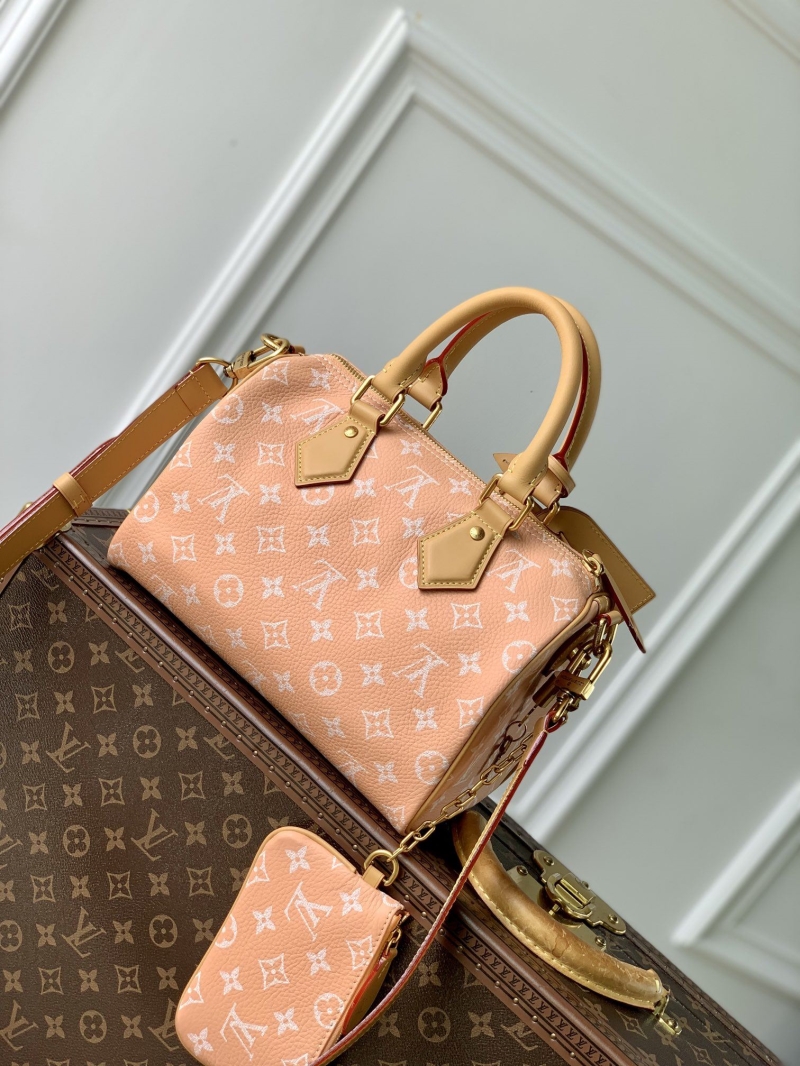 LV Travel Bags